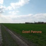 Zdjęcie przedstawia widok ze spaceru klasy 1Nc