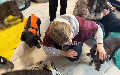 Nasi wolontariusze w schronisku dla zwierząt (10)