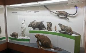 wycieczka klasy 3nc (7)